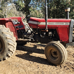 Tractor Utilitario Massey Ferguson 290, Ideal para la Preparación del Terreno, la Siembra y el Trabajo Agrícola General - Product Image 6