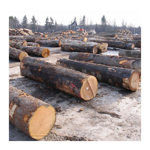 Bois de chauffage en hêtre durable, bûches sèches pour une combustion propre et efficace, chauffage des maisons ou des jardins extérieurs - Product Image 6