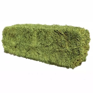 Top Sale Alfalfa Lucerne Hay in <strong>Bales</strong>/Animal Feeding <strong>Alfa</strong>/Alfalfa Hay Pallets