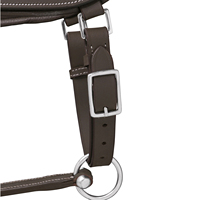Muestra gratis nueva llegada caballo ecuestre personalizado montar cuero caballo Halter occidental personalizado seguridad cabeza de caballo Collar