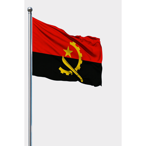 Drapeau de fanion extérieur Angola avec logo personnalisé, impression numérique sur polyester soyeux plastique ; mât de drapeau en aluminium - Product Image 1