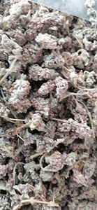 Menghua Yang Er <span class=keywords><strong>Duo</strong></span>, Flores Secas Naturales de Buddleja Officinalis Maxim, Brotes Silvestres de Fujian en Venta - Product Image 5