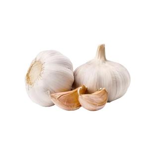 Wholesale <b>Fresh</b> <b>Garlics</b> for Sale at Cheap Prices High Quality Farm <b>Fresh</b> <b>Garlic</b> Available for Export in Bulk - Product Image 1