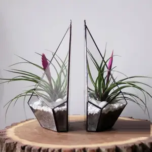 Best Quality Geometric Glass Succulent Terrarium Container with Black Finished Iron Frame for Indoor Garden Plants Pot.