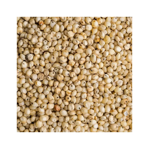 Produit agricole de qualité alimentaire en vrac Grains naturels de haute nutrition Sorgho blanc rouge cru à vendre - Product Image 5