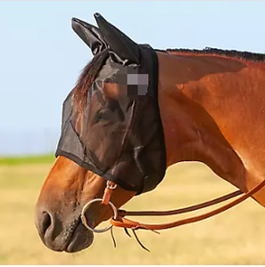 Fournisseur de grossiste équestre Masque anti-mouches pour chevaux Produits de première qualité pour chevaux du Pakistan - Product Image 5