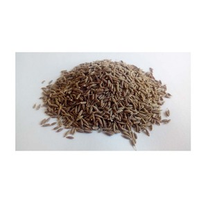 Graines de Chimen certifiées de qualité supérieure, 100 % pures et naturelles, épices culinaires, fabricant et fournisseur en gros - Product Image 6