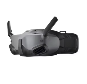 GRAN OFERTA de GOOGLE INTEGRA Compatible con FPV con Pantalla MICRO OLED - Product Image 1