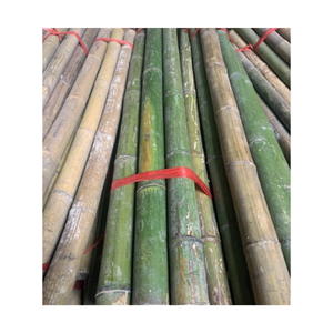 เสาไม้ไผ่เวียดนามธรรมชาติสำหรับทำสวนและตกแต่งรั้วไม้ไผ่ทั้งหมด - Product Image 1