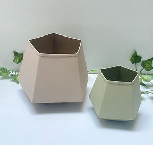 Maceta decorativa para el hogar Juego de dos diseños modernos Metal Hierro Tamaño personalizado Forma Color Usos en la decoración del hogar - Product Image 1