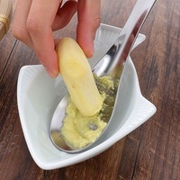 Râpe manuelle en acier inoxydable pour ail, gingembre, fruits et légumes, avec cuillère intégrée