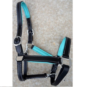 Elegante sillín Inglés estilo caballo Halter saludable accesorio de cuero personalizado diseño elegante contraste Color acolchado al por mayor - Product Image 1