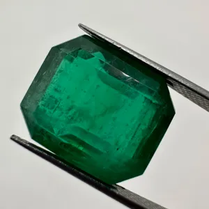 AAA Vivid Green Color Premium Grade Calidad superior Sin tratar Natural Zambian Emerald Cut 9,19 quilates para uso en joyería