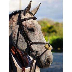 Nuevas Bridas de Cuero Ajustables de Alta Calidad para Equitación y Deportes al Aire Libre 2026 - Product Image 4