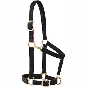 Nouveau 2025 vente chaude Sports Horse Halters OEM Services Rope Halters Cheap Price - Product Image 2