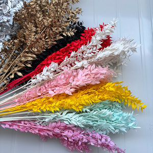Hojas de <span class=keywords><strong>Eucalipto</strong></span> Secas y Blanqueadas al por Mayor, Tipo Ruscus Italiano, Pequeñas, para Ramos de Boda, Jarrones Decorativos y Decoración de Temporada - Product Image 2