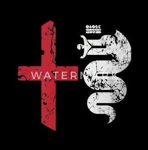 Camisetas de gimnasio atléticas personalizadas de alta calidad para hombre, camisetas de secado rápido transpirables 95% poliéster 5% Spandex microfibra 100% algodón - Product Image 2