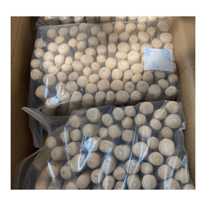 El juguete de seguridad más vendido para mascotas/Café, masticable de madera para perros, tamaño XS/S/M/L/XL, hecho en Vietnam desde 99GD con alta calidad al mejor precio - Product Image 6