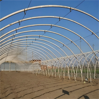 Serre agricole monopente à structure en acier galvanisé à chaud avec couverture en film PE transparent pour la culture de cultures côtières