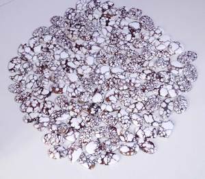 Cabujón de piedras preciosas sueltas de jaspe de caballo salvaje natural, piedras preciosas sueltas, lote al por mayor, forma mixta y piedras preciosas finas para la fabricación de joyas - Product Image 2