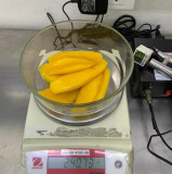 Canned mango Sliced in <b>Light</b> Syrup| OEM Packaging From VietNam - Product Image 5