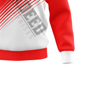 Sweat à capuche en tissu lourd pour hommes, manches longues, couleur et taille personnalisées, sweat à capuche en tissu uni, utilisation régulière, saison d'hiver - Product Image 6