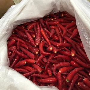 Chile rojo congelado cultivado en invernadero de Vietnam, excelente opción para condimentos picantes, tipo pimiento largo - Product Image 1