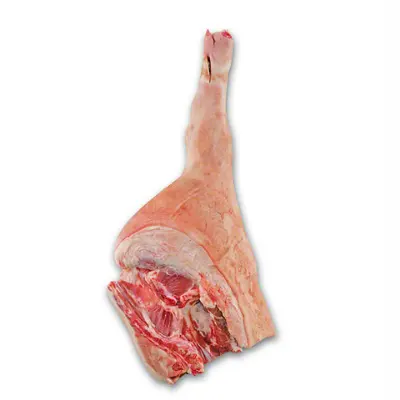 Acquista carne di maiale congelata fresca di alta qualità, zampe anteriori di maiale e zampe posteriori di maiale congelate, paraorecchie di maiale congelati