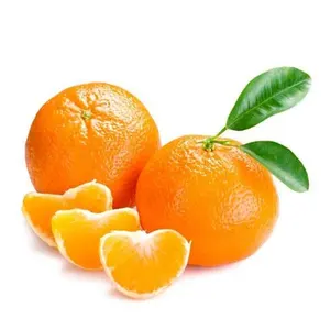 2024 Agrumes frais Orange Fruit Vente en gros Prix bon marché Mandarine de haute qualité