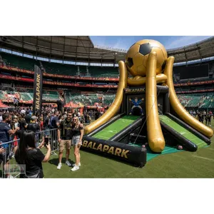 Juego de Tiro al Blanco - Vallas Inflables para Juegos Deportivos al Aire Libre para Parques Deportivos y Uso Escolar - Product Image 1