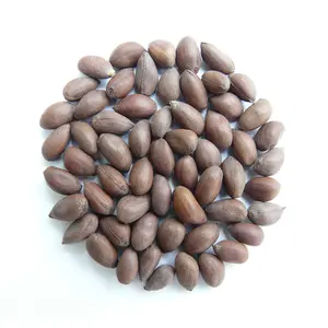 High Quality Raw Cotton Seeds For sale At Low Price