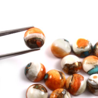 Lot en gros de cabochons ronds calibrés en cuivre turquoise naturel de type huître épineuse, qualité AAA++, 6x6mm, pour la fabrication de bijoux