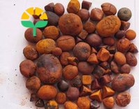 Extracto de cálculos biliares de buey y ganado natural de alta calidad con 3 años de vida útil para otros usos