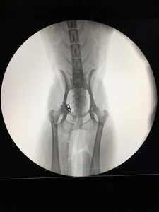 آلة تنظير الذراع PFD C لجراحة الأشعة مع نظام ذراع رقمي C جهاز أشعة <span class=keywords><strong>X</strong></span> - Product Image 3