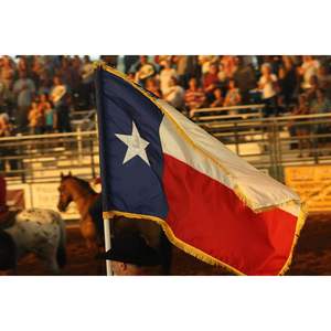 Bandera de Texas Personalizada de 3x5 Pies con Flecos Dorados, Estrellas Bordadas, 4 Filas de Costuras Inferiores, para Interiores y Exteriores - Product Image 1