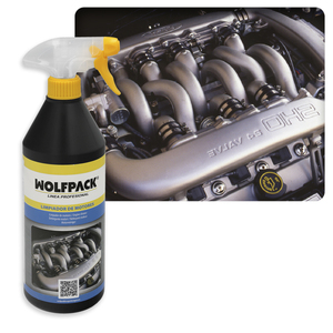 Detergente per Motori di Auto e Moto 750 ml. - Product Image 4