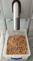 SUISER MAKINE Blancherings-/Schil-/Schilmachine 600 Kg/u Lucht Schilmachine RVS 2 Jaar Garantie Notenverwerking Snackvoedsel