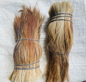 Cheveux de queue de buffle de meilleure qualité disponibles à différents prix en fonction de la quantité avec des options détaillées pour les grosses commandes - Product Image 3