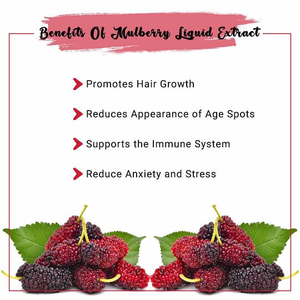 ผงแอนโธไซยานินส์สารสกัดจากหม่อน25% ผงแอนโธไซยานิน - Product Image 6