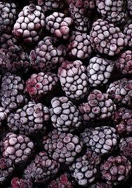 Mora negra congelada a granel, orgánica certificada, sin OMG, sabor dulce y ácido, alta calidad, embalaje de exportación disponible para venta al por mayor - Product Image 5