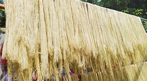 Materia prima de fibra de piña a granel y suministro al por mayor al mejor precio - Product Image 5