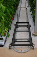Vente chaude Grande serre Équipement agricole Chariot de récolte standard pour tomates Construction en acier Certifié CE ISO 2 ans