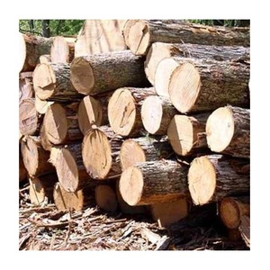 Melhor Preço 100% cru De Madeira De Pinho Logs/madeira Ao Melhor Preço E Alta Qualidade para venda - Product Image 3