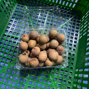 ลำไยเวียดนามฉ่ำหวาน สำหรับส่งออก รสชาติหวานสดใหม่ เปลือกบาง ผลไม้เมืองร้อน บรรจุภัณฑ์ขายส่ง คุณภาพพรีเมียม - Product Image 1