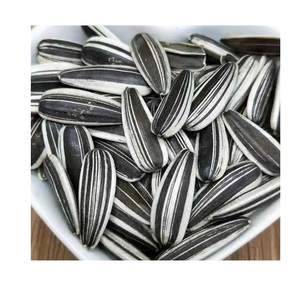 Graines de tournesol décortiquées, riches en nutriments, pour la transformation alimentaire et la production de snacks, approvisionnement en gros de graines de tournesol - Product Image 5