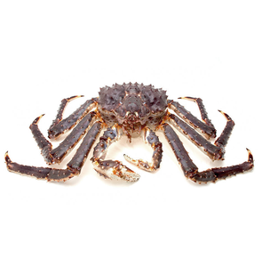 มีปูแดงสดจำนวนมากในราคาขายส่ง - Product Image 3