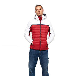 Vestes à bulles de style sport pour hommes de haute qualité Veste bouffante à capuche avec support Vente à chaud Marque privée du fabricant Prix bon marché - Product Image 3