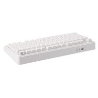 2025 EPOMAKER X AULA F75 filaire 75% joint sans fil personnalisé clavier mécanique interrupteur rouge clavier jeu clavier mécanique