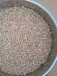 Maíz desgranado no transgénico certificado ISO para alimentación animal, en sacos de HDPE de 25 kg, calidad premium de la India - Product Image 5