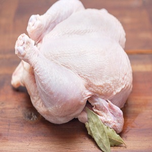 Entrega Rápida, Proveedores de Pollo Congelado Premium, Exportación Mundial al por Mayor - Product Image 2